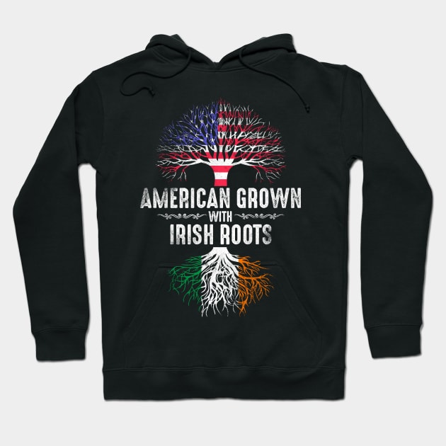 Irish American Hoodie by Mila46